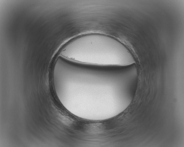 X0000064040108200601270942