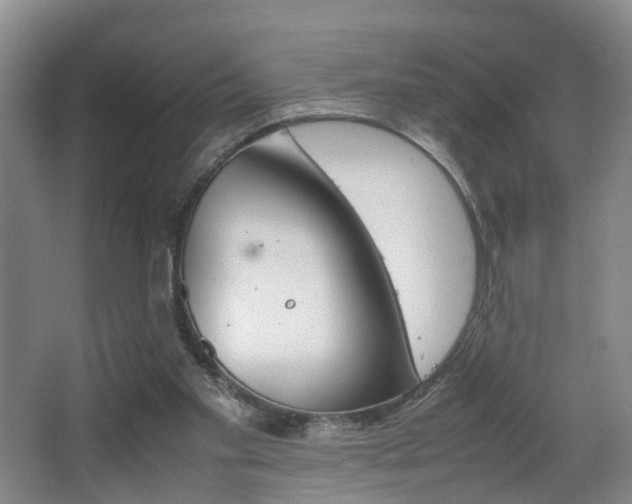 X0000064040109200601270942