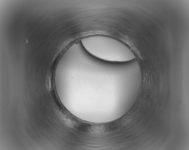 X0000064040110200601270942