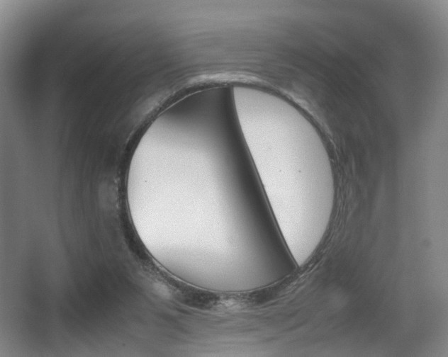 X0000064040111200601270942