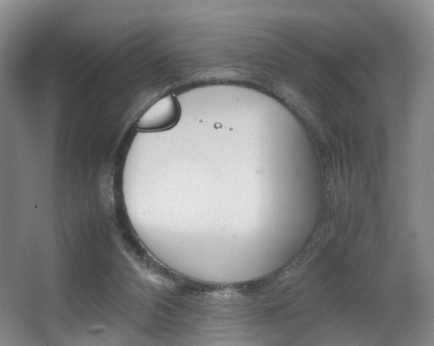 X0000064040112200601270942