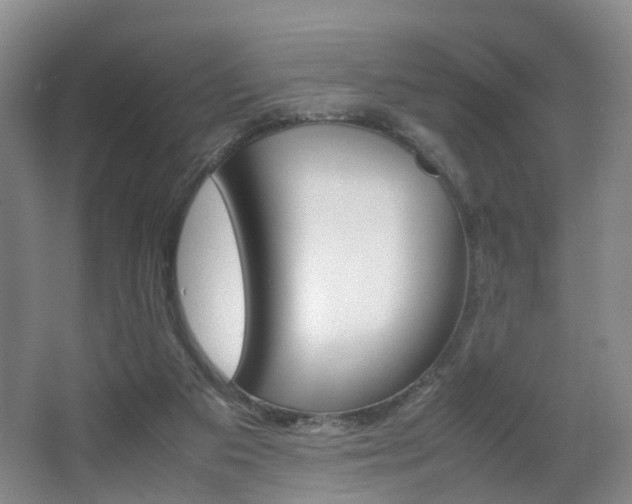 X0000064040113200601270942