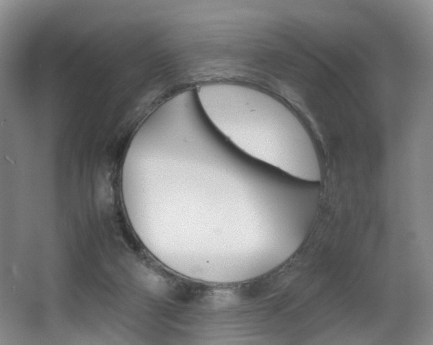 X0000064040114200601270942