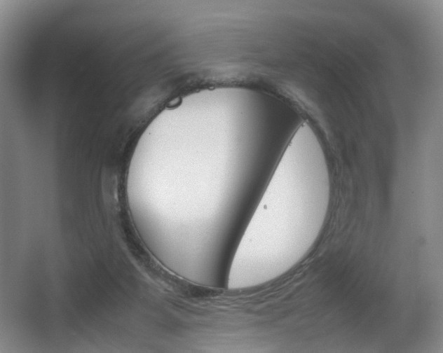 X0000064040115200601270942