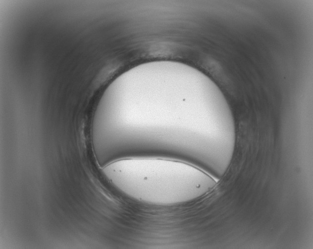 X0000064040116200601270942