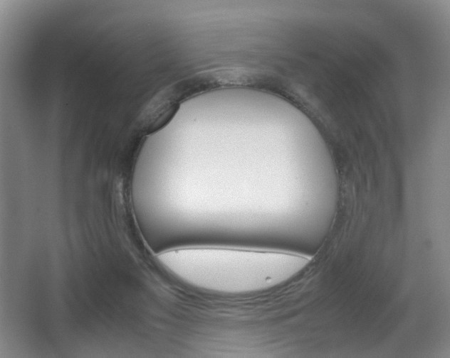 X0000064040117200601270942