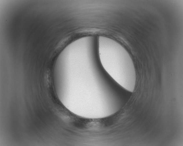 X0000064040119200601270942