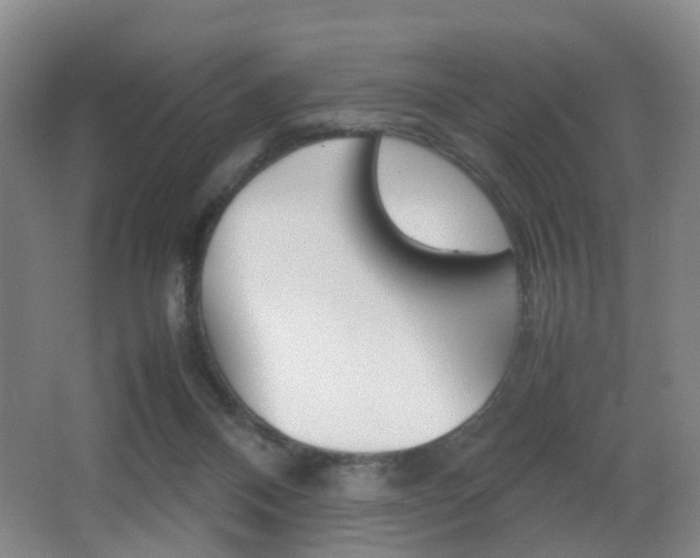 X0000064040120200601270942