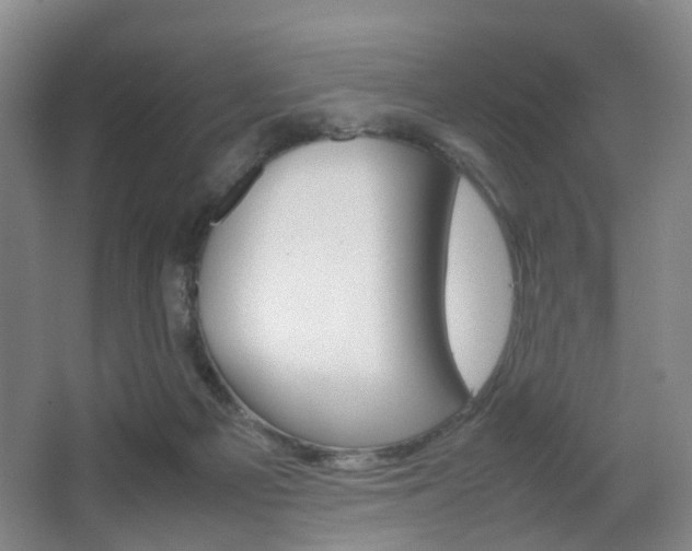 X0000064040121200601270942