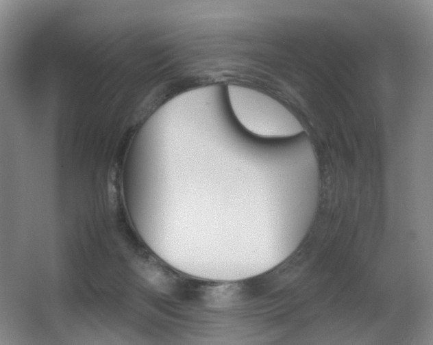 X0000064040122200601270942