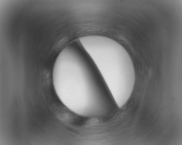 X0000064040123200601270942