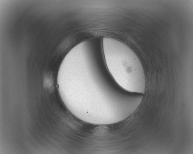 X0000064040124200601270942