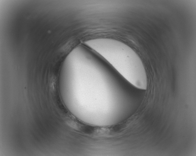 X0000064040125200601270942