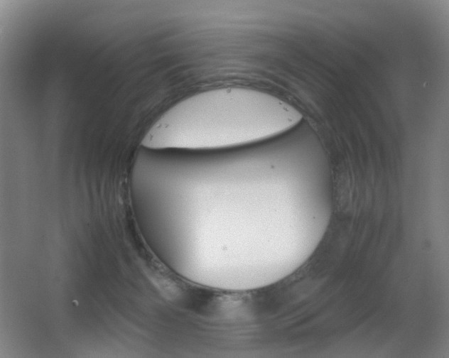 X0000064040126200601270942