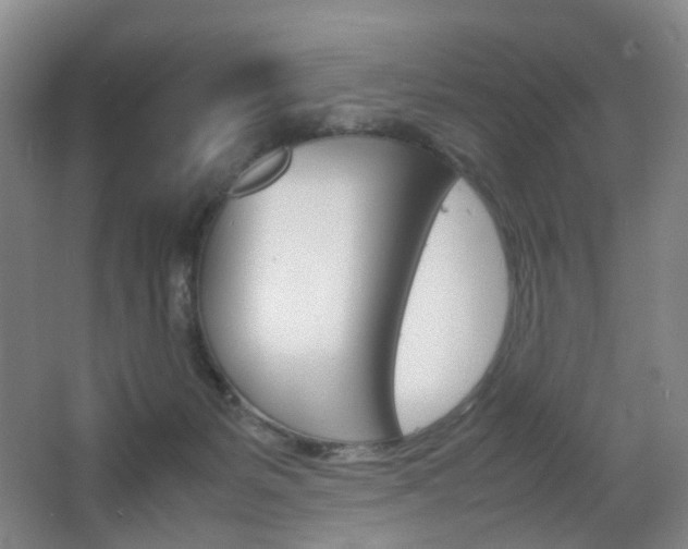 X0000064040127200601270942