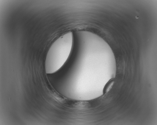 X0000064040128200601270942