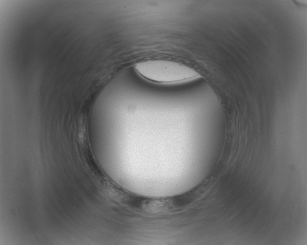 X0000064040129200601270942