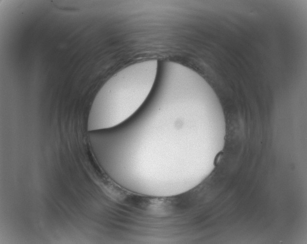 X0000064040130200601270942