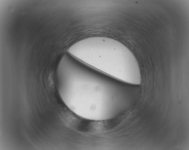 X0000064040131200601270942