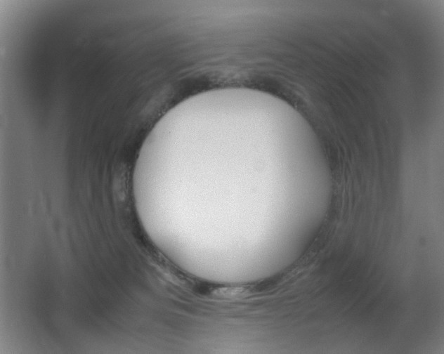 X0000064040133200601270942