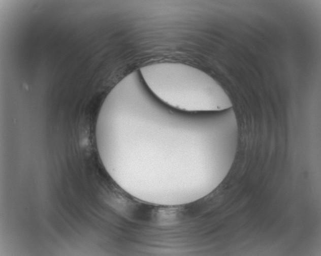 X0000064040134200601270942