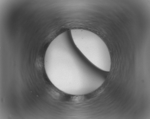 X0000064040135200601270942