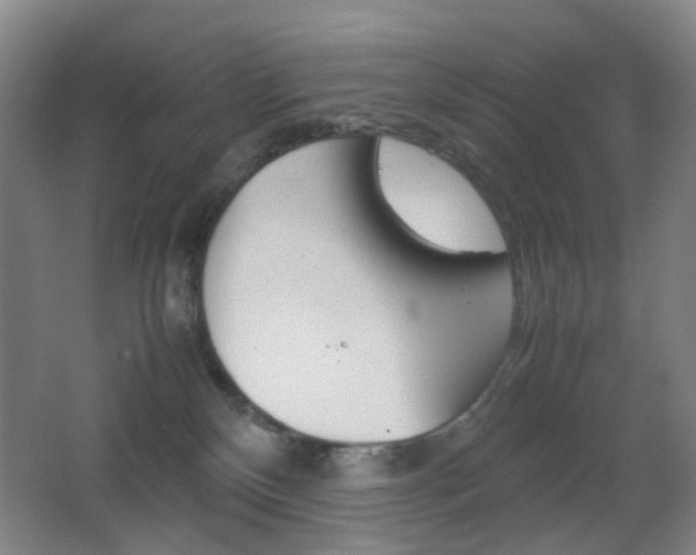 X0000064040136200601270942