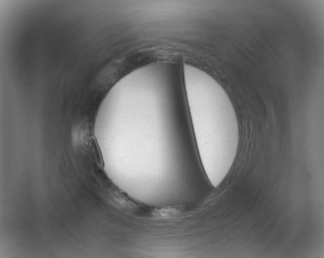 X0000064040137200601270942