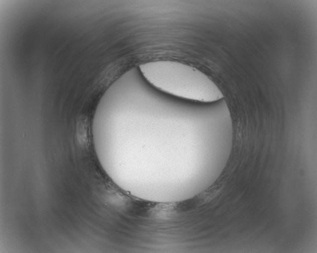 X0000064040138200601270942