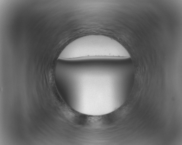 X0000064040139200601270942