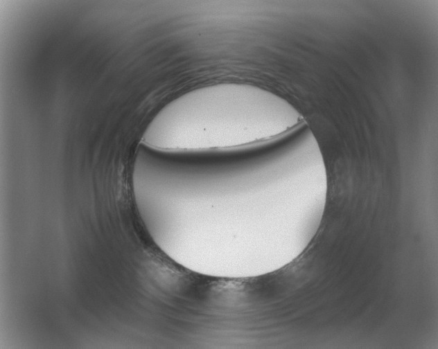 X0000064040140200601270942