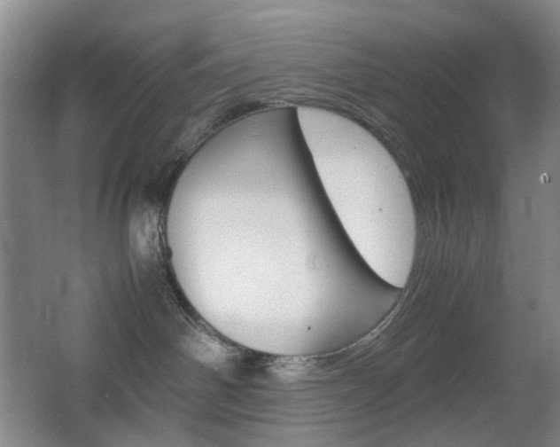 X0000064040142200601270942