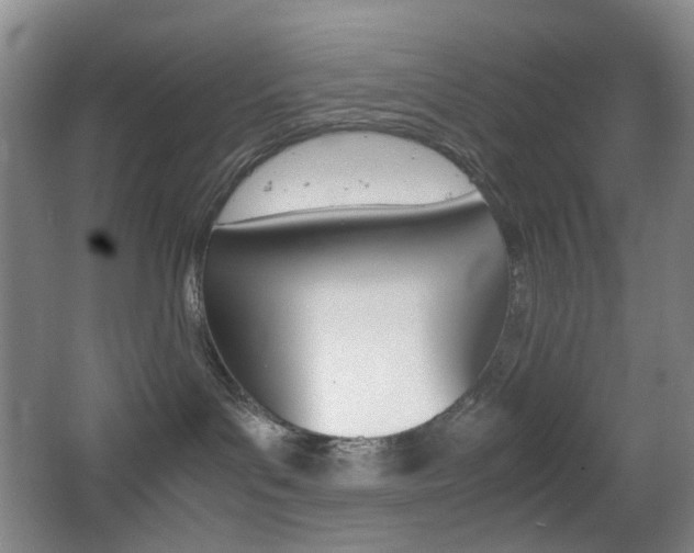 X0000064040143200601270942