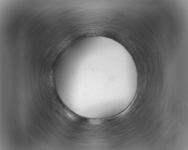 X0000064040144200601270942