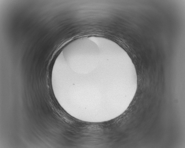 X0000064040146200601270941