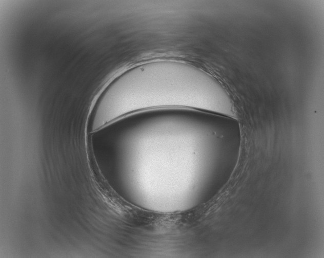 X0000064040148200601270941