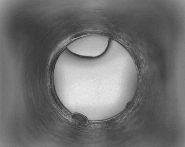 X0000064040149200601270941