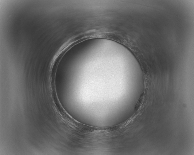 X0000064040150200601270941