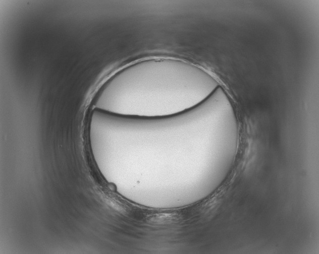 X0000064040151200601270941