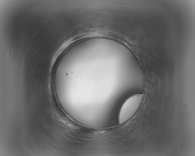 X0000064040152200601270941