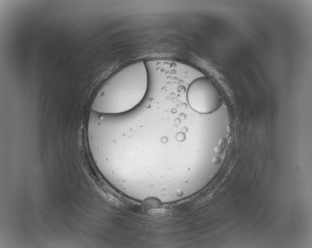 X0000064040153200601270941