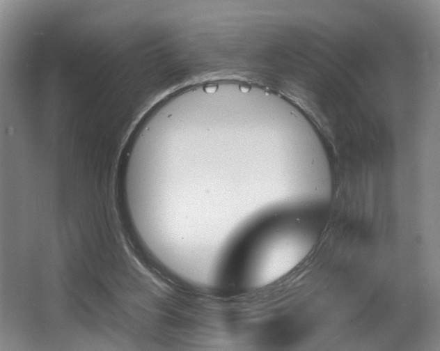 X0000064040156200601270941