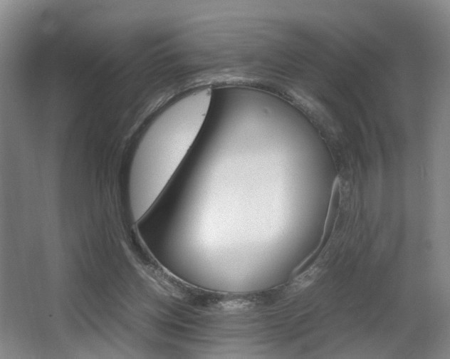 X0000064040158200601270941