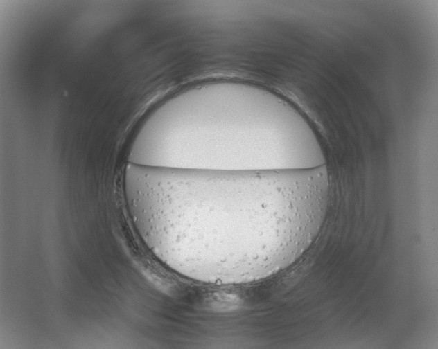 X0000064040159200601270941