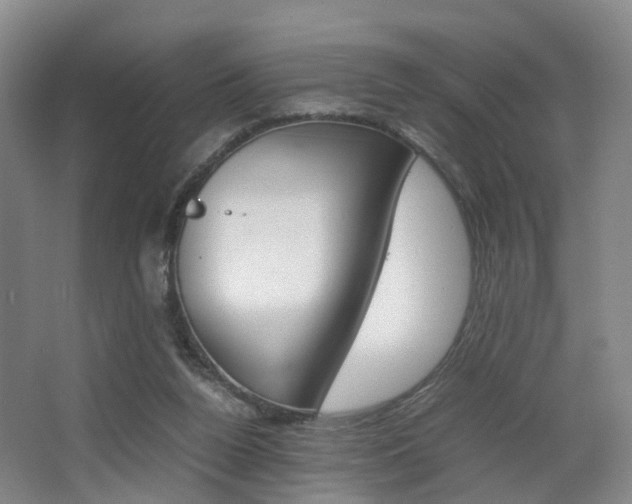 X0000064040160200601270941