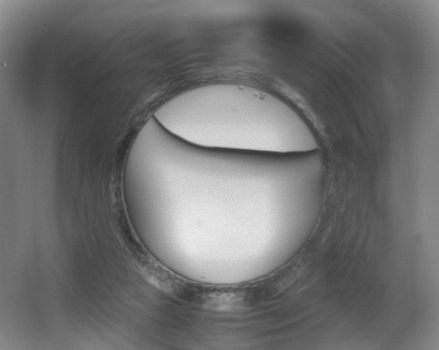 X0000064040161200601270941