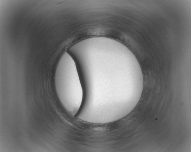 X0000064040163200601270941