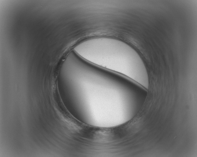 X0000064040164200601270941