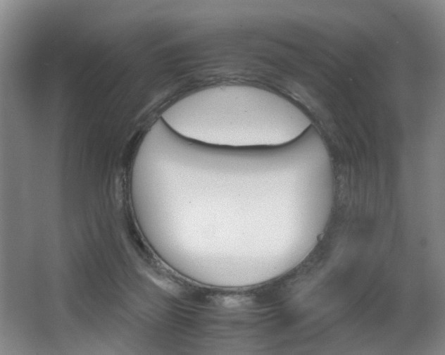 X0000064040165200601270941