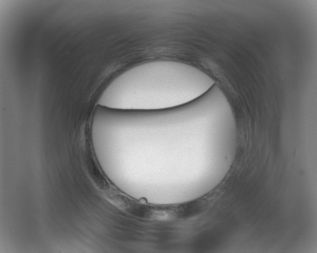 X0000064040167200601270941